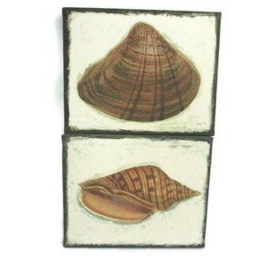 Wall Art Painted Canvas 2 PC Set Seashells Ready 2 Hang Stretched Frame 8" x 10"